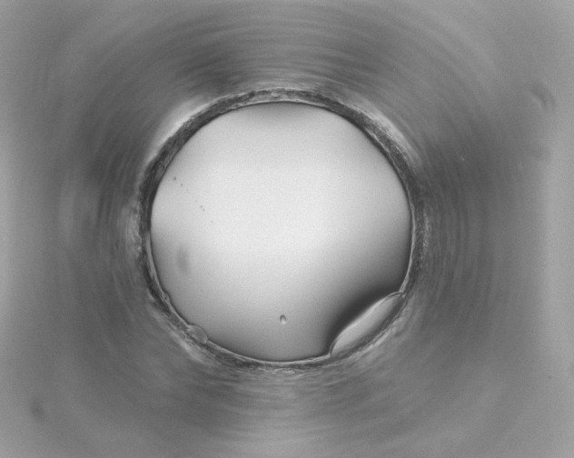 X0000115690878200911251811