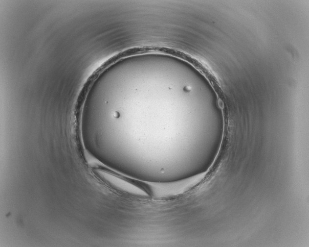 X0000115690879200911251810