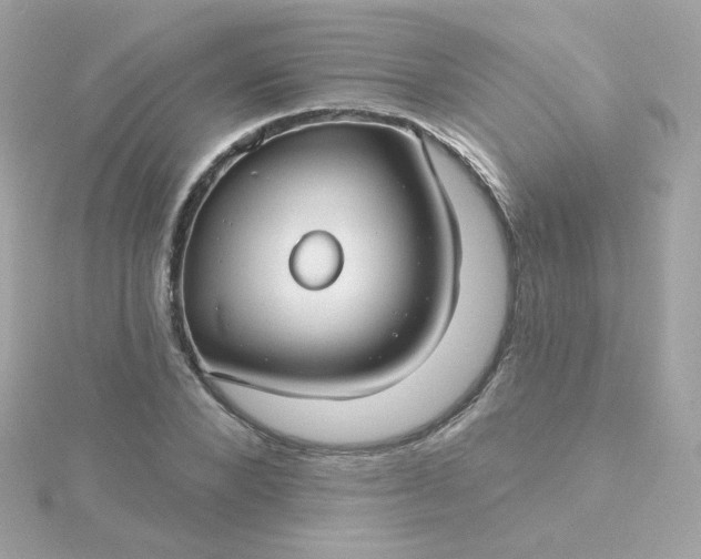 X0000115690880200911251810