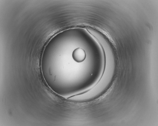 X0000115690881200911251810