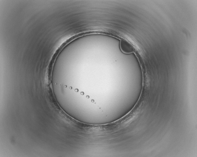 X0000115690883200911251810