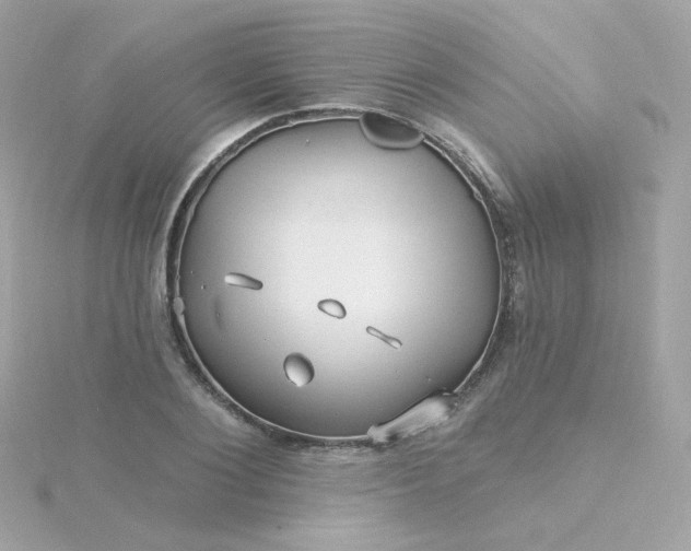 X0000115690884200911251810