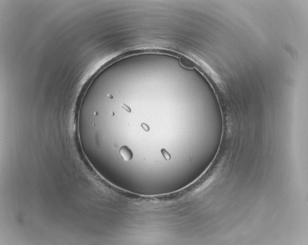 X0000115690885200911251810