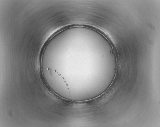 X0000115690887200911251810