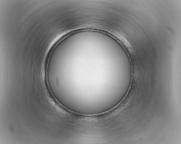 X0000115690888200911251810