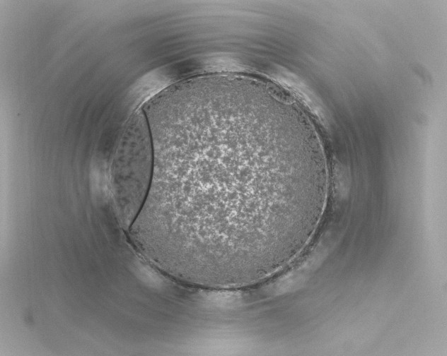 X0000115690889200911251810