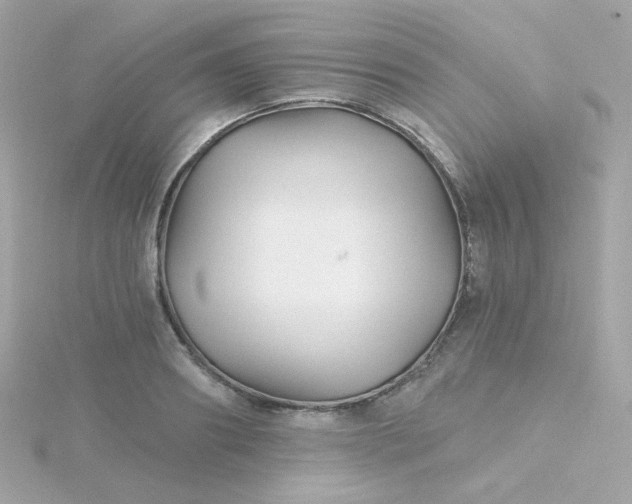 X0000115690890200911251810