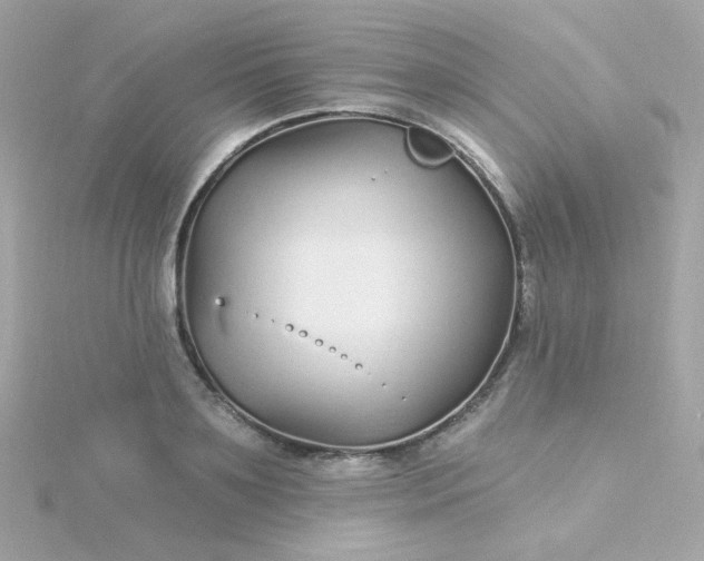 X0000115690891200911251810