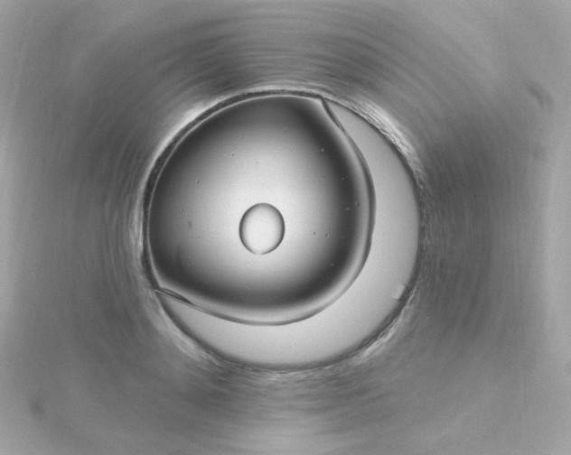 X0000115690892200911251810