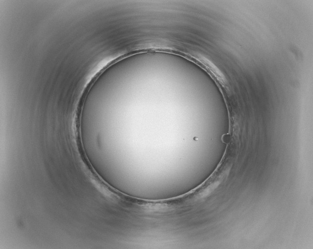 X0000115690893200911251810