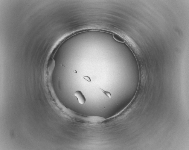 X0000115690896200911251810