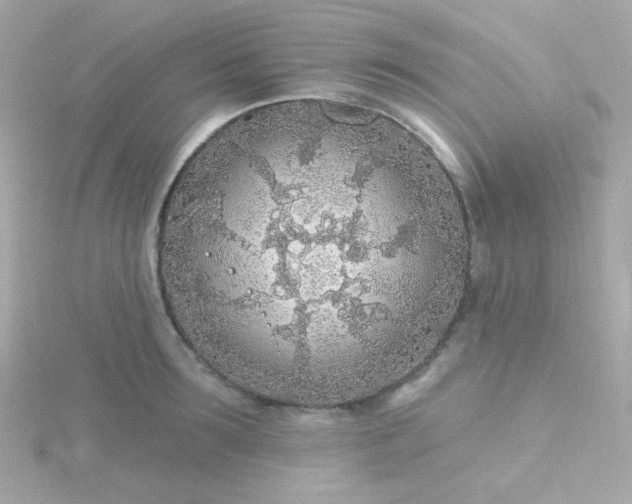 X0000115690899200911251810