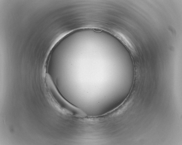 X0000115690900200911251810