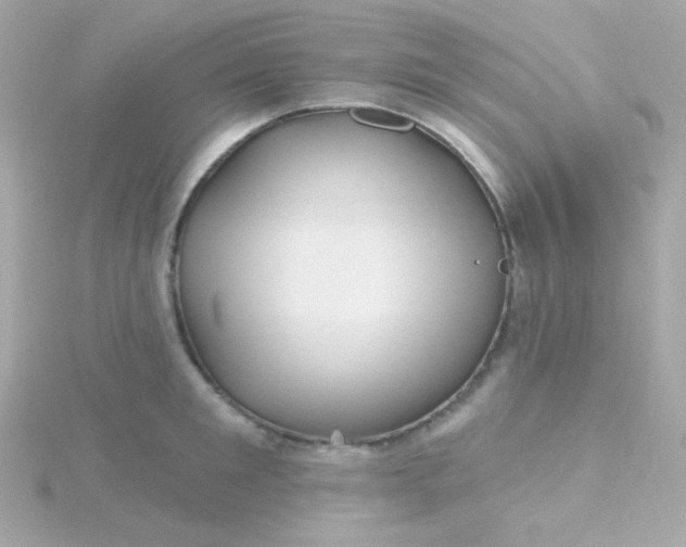 X0000115690901200911251810