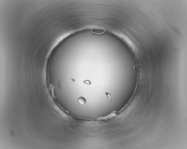 X0000115690902200911251810