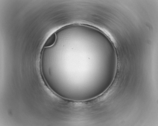 X0000115690903200911251810