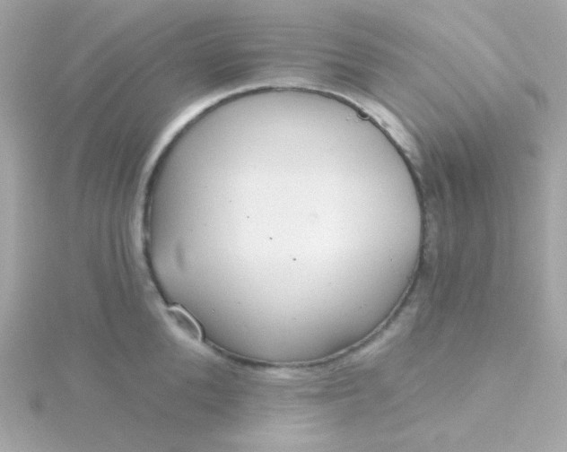 X0000115690904200911251810