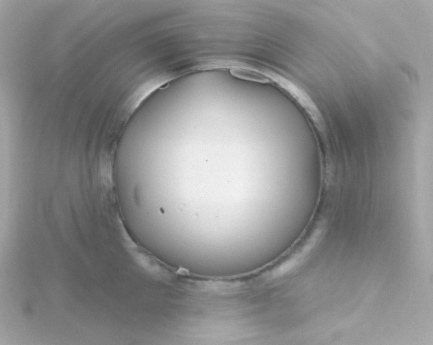 X0000115690905200911251810