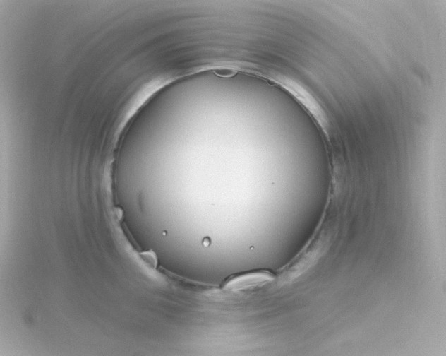 X0000115690906200911251810