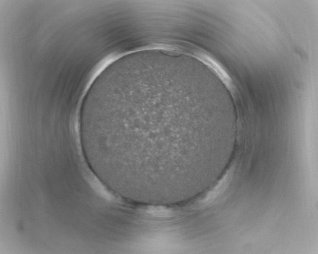 X0000115690907200911251810