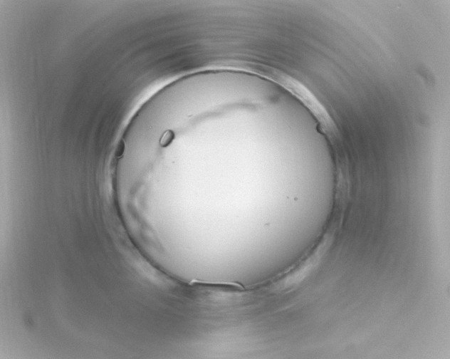 X0000115690908200911251810