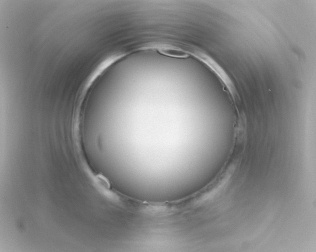 X0000115690909200911251810