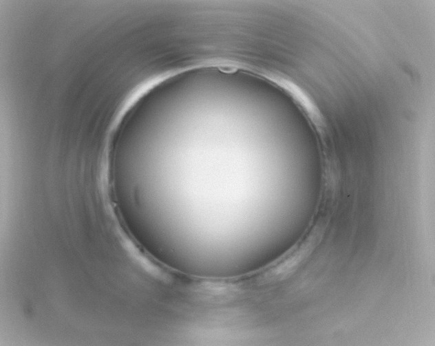 X0000115690910200911251810