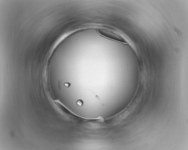 X0000115690911200911251810