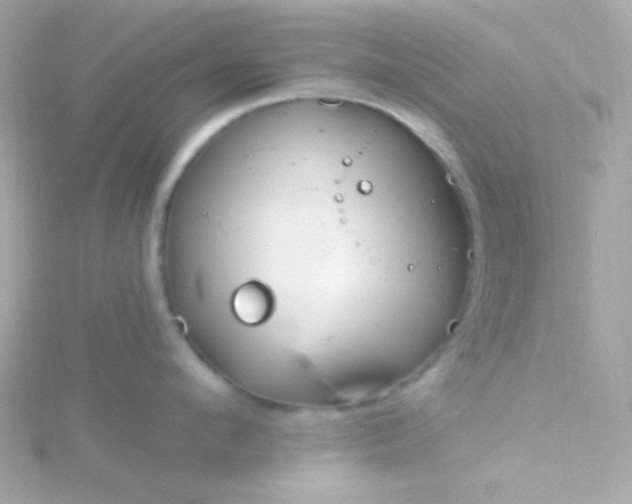 X0000115690912200911251810