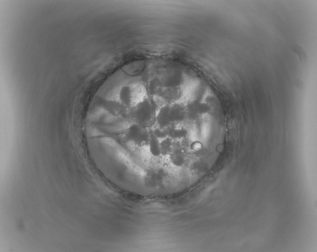 X0000115690913200911251809