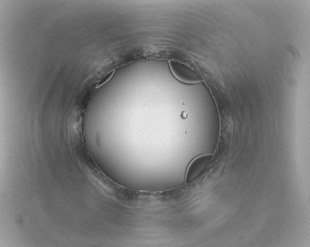 X0000115690914200911251809