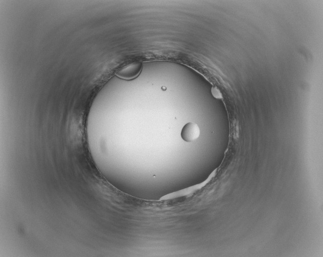 X0000115690915200911251809