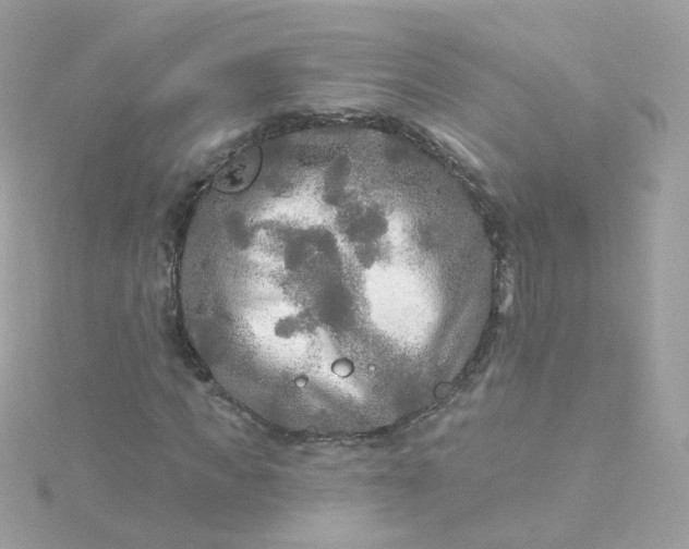 X0000115690917200911251810