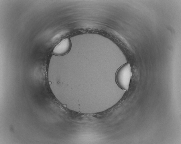 X0000115690918200911251810