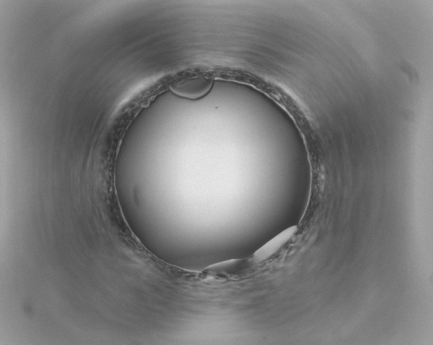 X0000115690919200911251810