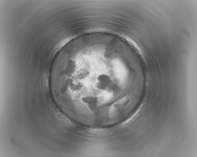 X0000115690921200911251810