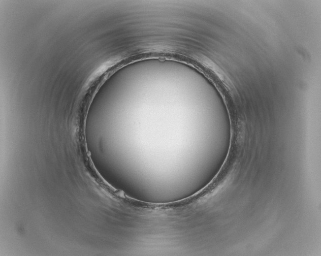 X0000115690922200911251810