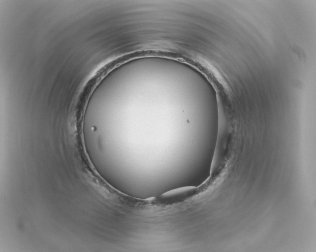 X0000115690923200911251810