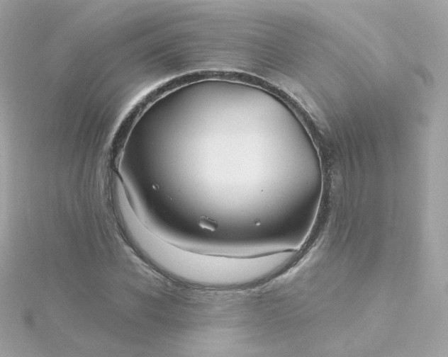 X0000115690926200911251810