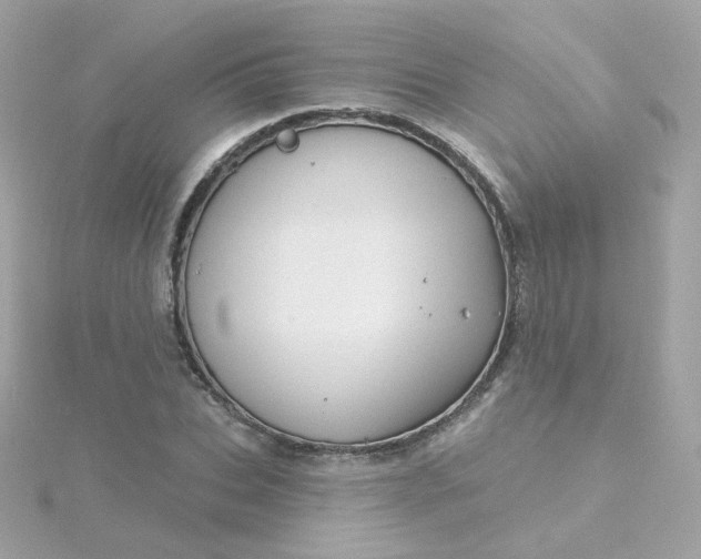 X0000115690927200911251810