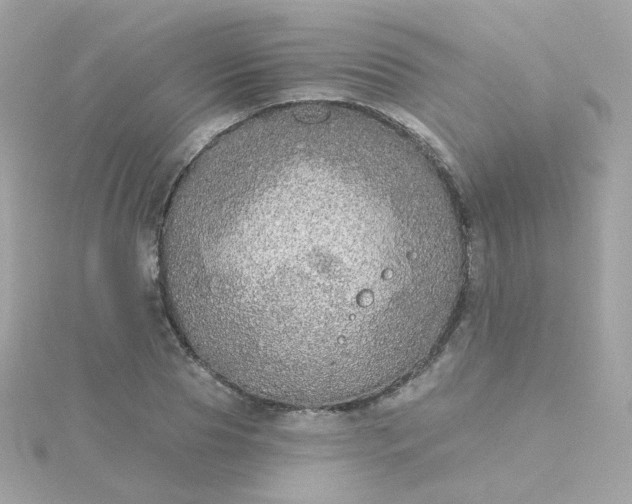 X0000115690929200911251810