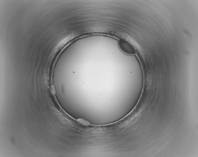 X0000115690930200911251810