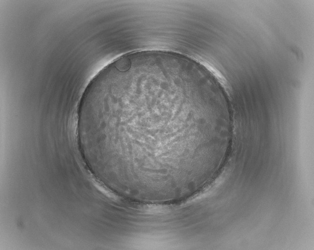 X0000115690933200911251810