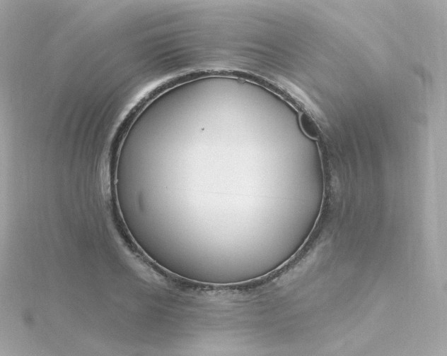 X0000115690934200911251810