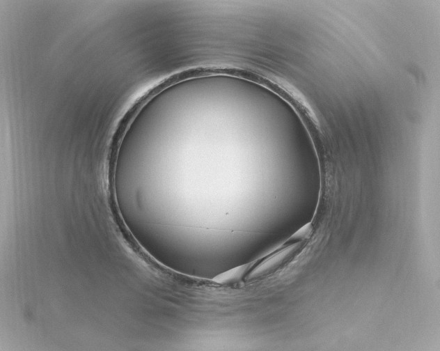 X0000115690935200911251810