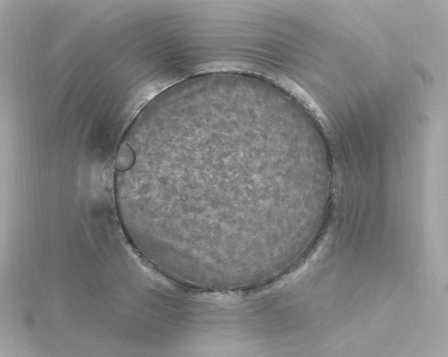 X0000115690937200911251810