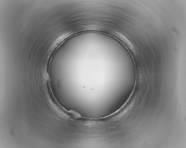 X0000115690938200911251810