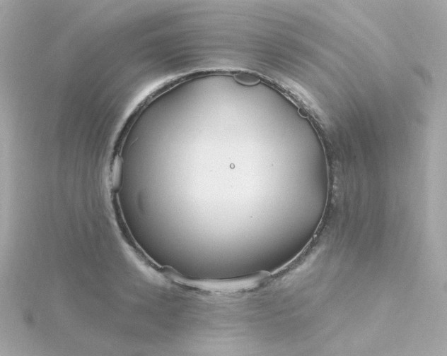 X0000115690942200911251810