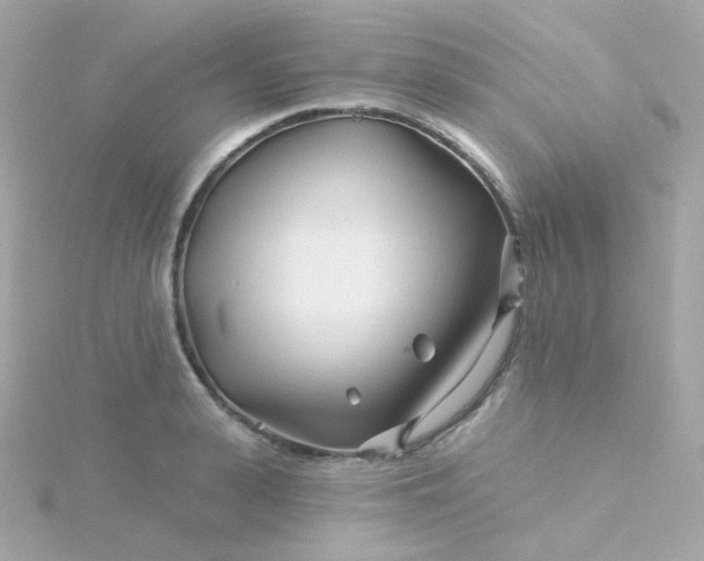 X0000115690943200911251810