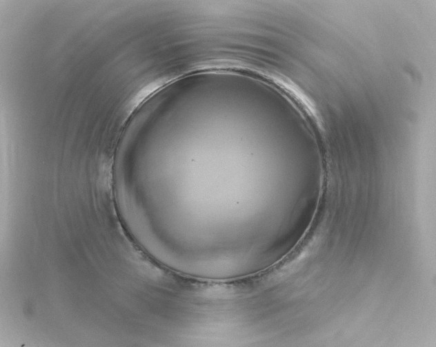 X0000115690945200911251810